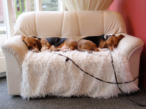 Точное совпадение: не беспокоить!