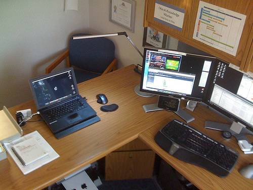 Paradox of the Knowledge-Worker Age at a Translation Agency Knowledge Worker